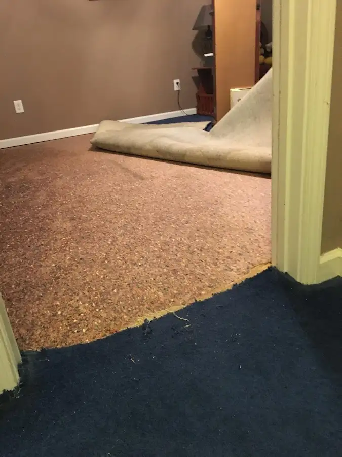 Carpet pad removal revealing water damage during Drying & Dehumidification in Ketchikan