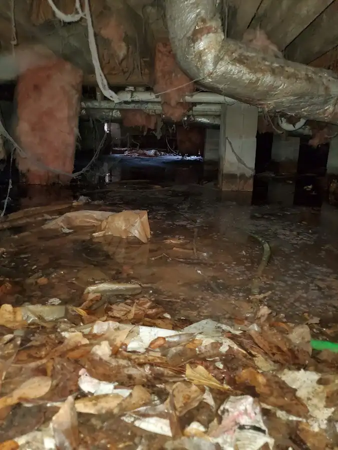 Crawl space flood assessment for Leak Detection & Repair in Ketchikan