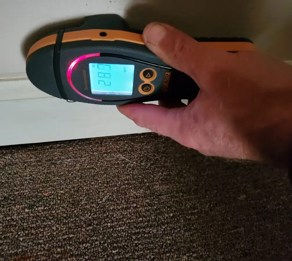 Moisture detection at baseboard during Mold Inspection & Testing in Ketchikan